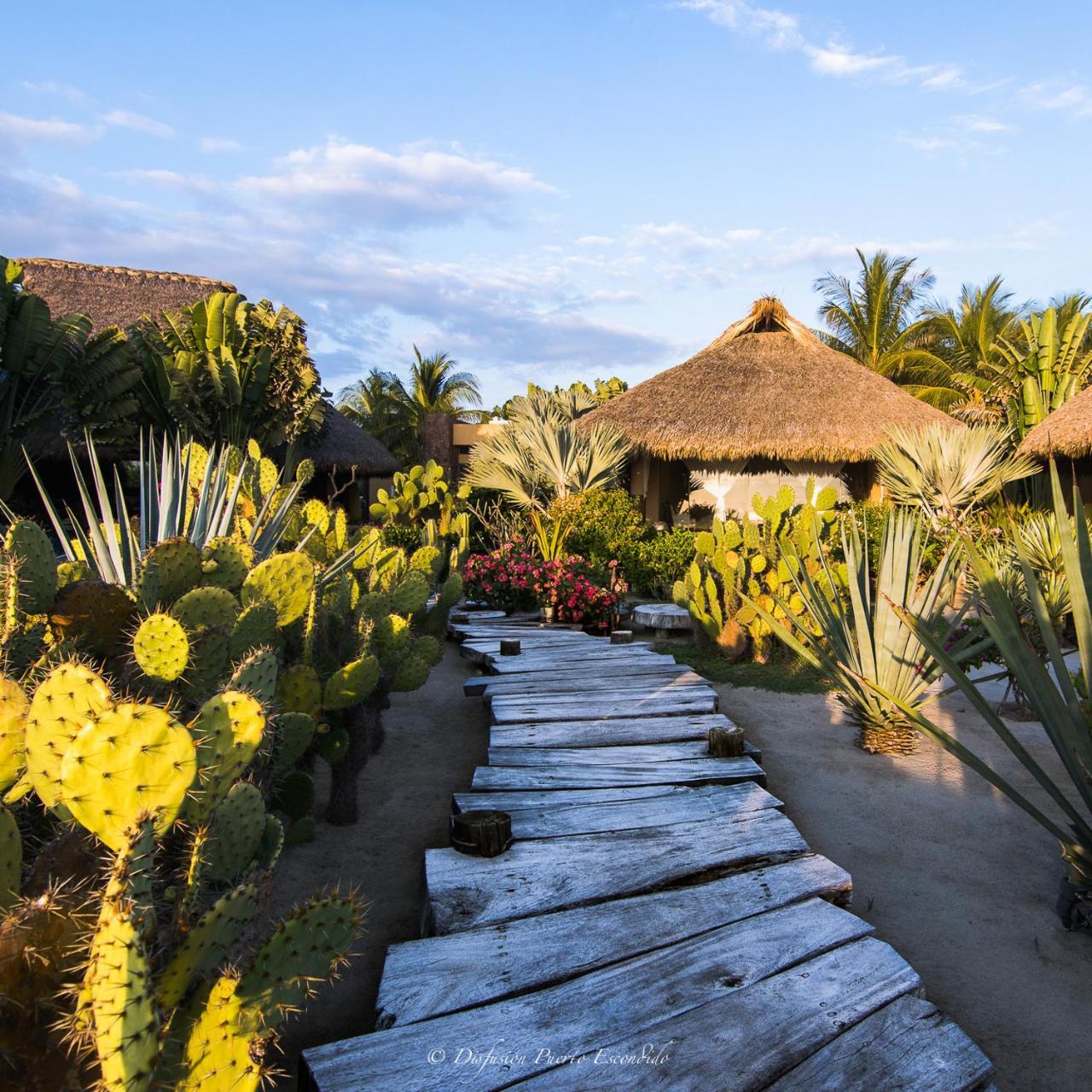 Samora Luxury Resort Santa María Colotepec Buitenkant foto